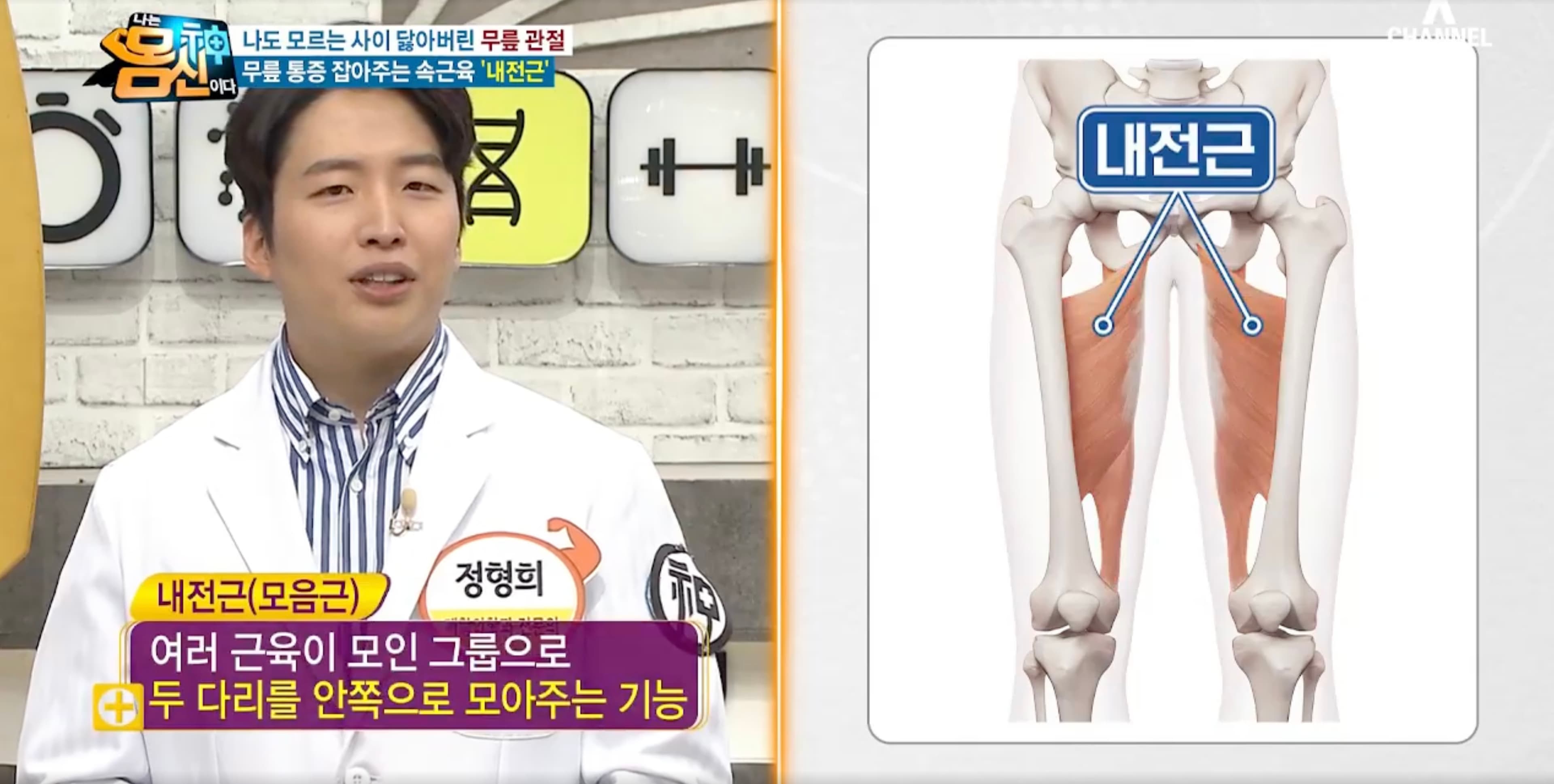 채널A 나는 몸신이다에서 속근육의 역할을 설명하는 정형희 원장